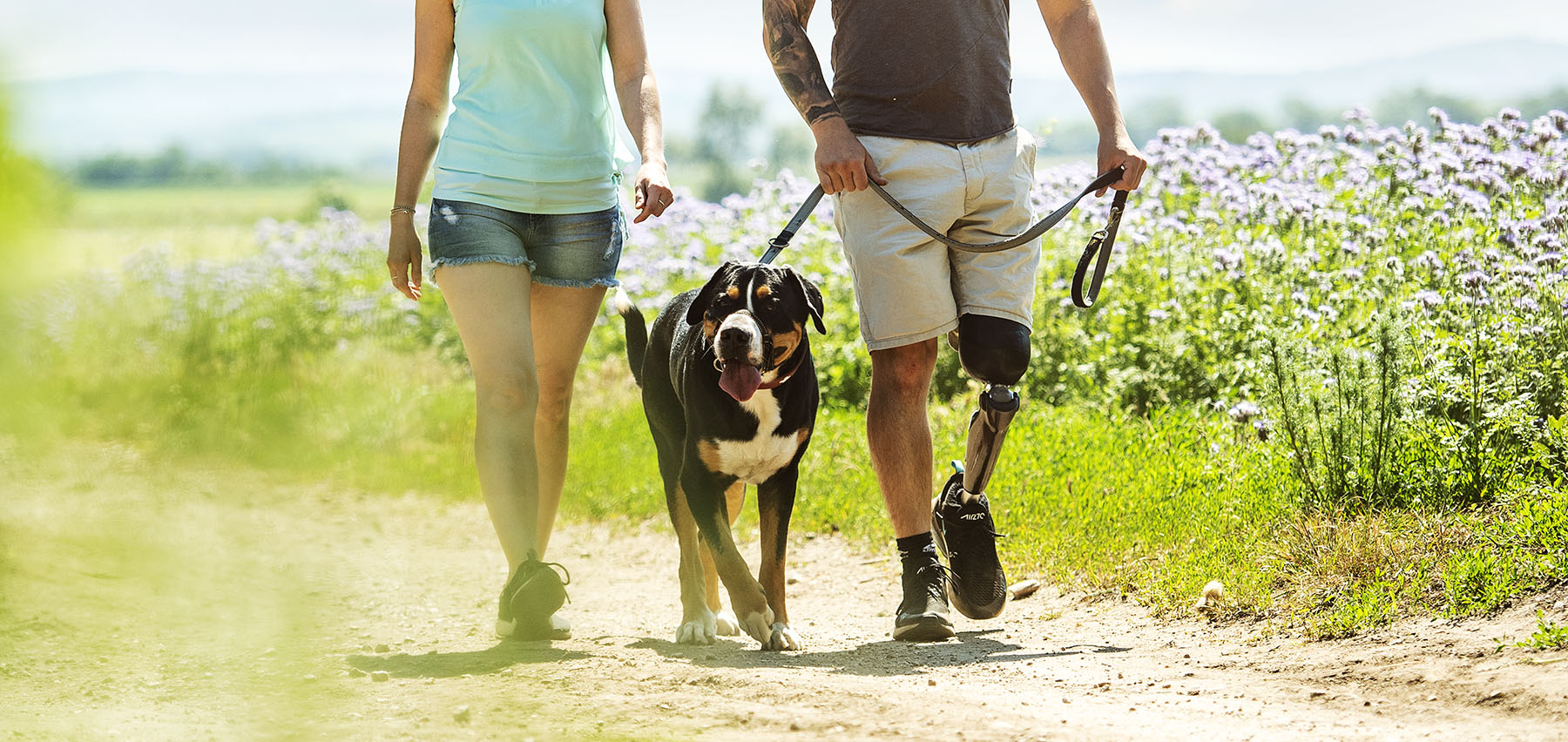 Foto Person mit Prothese geht mit Hund laufen